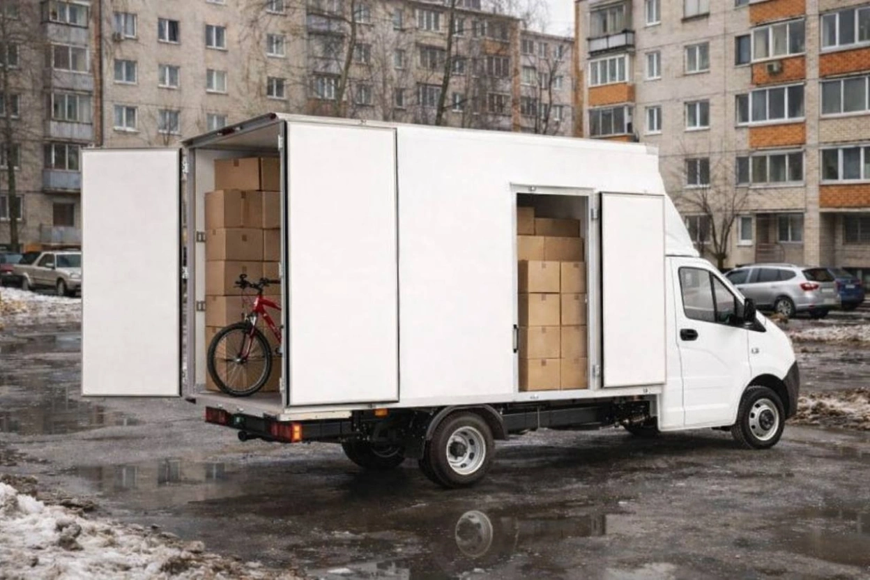 статья