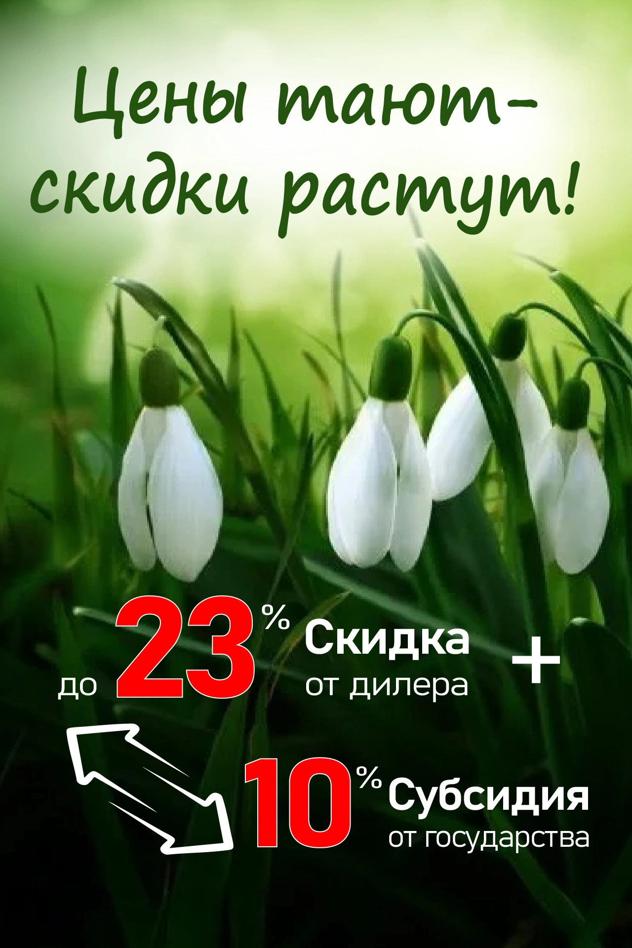 23% Скидка от дилера + 10% Госсубсидия