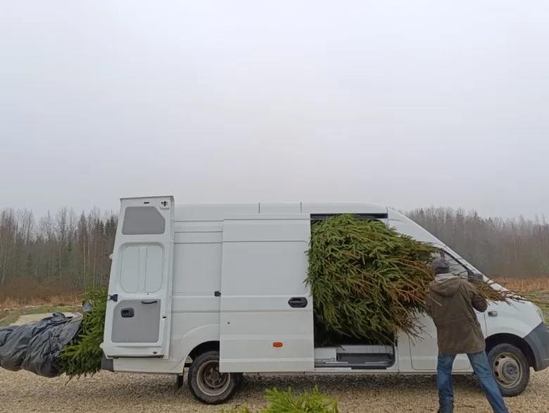 Автоцентр «Балтийский» помог Мозаичному дворику подготовиться к праздникам